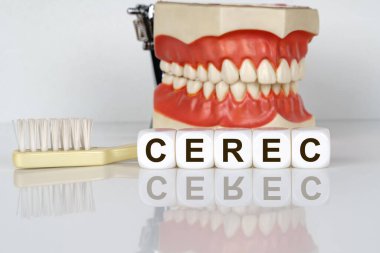 Tıbbi, dişçi konsepti. Metin küplerin üzerinde yazılı, CEREC. Arka planda diş fırçalı bir çene modeli var. Diş hastalıklarının önlenmesi.