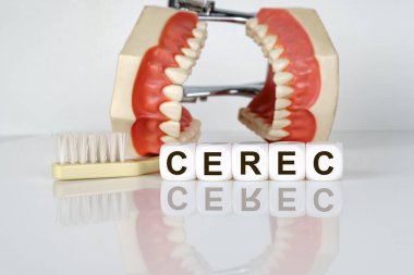 Tıbbi, dişçi konsepti. Metin küplerin üzerinde yazılı, CEREC. Arka planda diş fırçalı bir çene modeli var. Diş hastalıklarının önlenmesi.