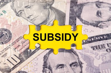 İş konsepti. Yazıtın ortasındaki doların görüntüsüyle bulmaca - SUBSIDY