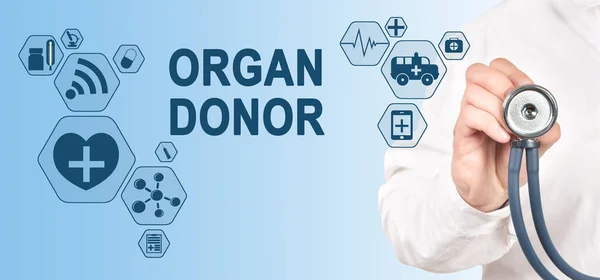 Organ Donor Concepto Pantalla Táctil Interfaz Doctor Con Estetoscopio —  Fotos de Stock