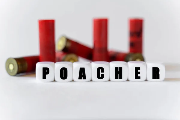 Tle Nabojów Karabinowych Znajdują Się Białe Kostki Tekstem Poacher Koncepcja — Zdjęcie stockowe