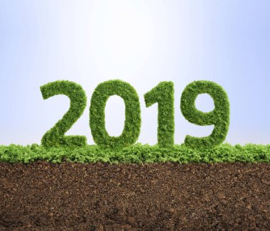 2019 çevre iş büyüme için iyi bir yıl oldu. Yıl 2019 şeklinde büyüyen çimen.