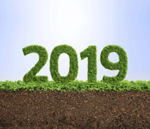 2019是环保事业成长的好年头 生长在2019年形状的草 — 图库照片