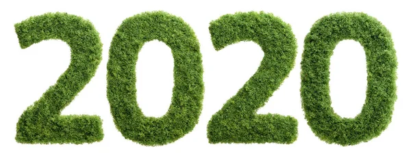2020 Bom Ano Para Crescimento Dos Negócios Ambientais Grama Crescendo Imagens Royalty-Free