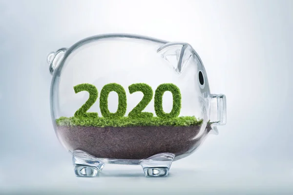2020 Bom Ano Para Negócios Grama Crescendo Forma Ano 2020 Imagem De Stock