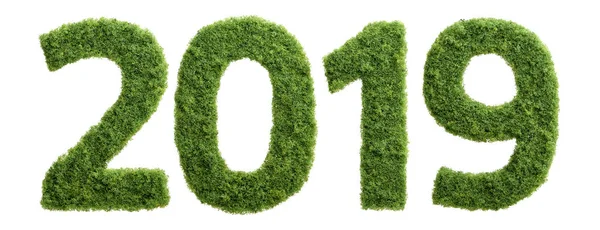 2019 Год Хороший Год Роста Экологического Бизнеса Трава Растёт 2019 Стоковое Фото