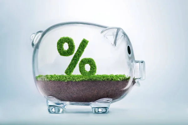 透明な貯金の中のパーセント記号の形で成長する草 — ストック写真