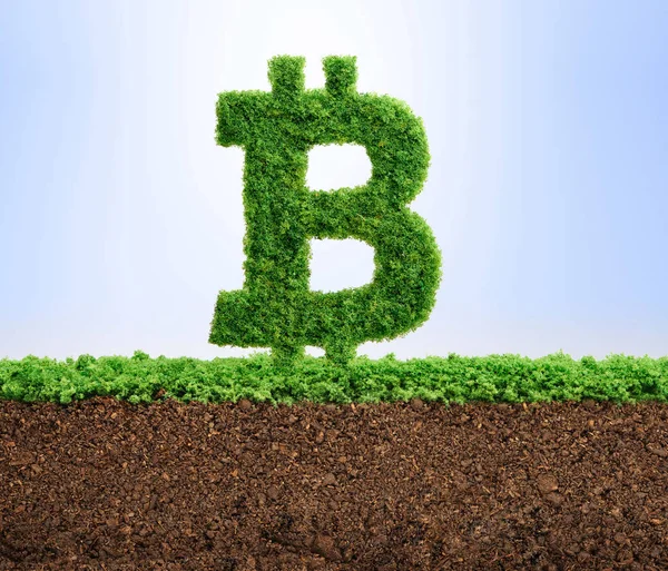 Gras Wächst Form Des Bitcoin Währungssymbols Stockfoto