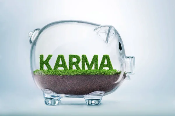 Grama Crescendo Forma Palavra Karma Dentro Banco Piggy Transparente — Fotografia de Stock