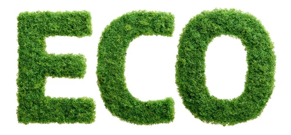 Gras Groeit Vorm Van Het Woord Eco Geïsoleerd — Stockfoto