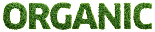 Gras Wächst Form Des Wortes Organisch Isoliert — Stockfoto