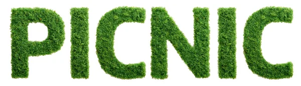 Grass Growing Shape Word Picnic Isolated — Stock Photo, Image