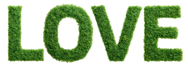 Grass Growing Shape Word Love Isolated — Stock Photo, Image