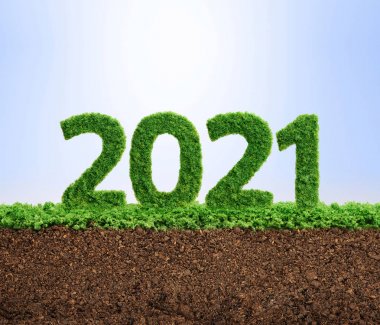 2021 yeşil ekoloji yılı kavramı
