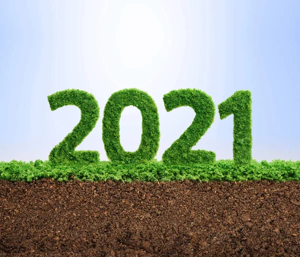 2021年グリーンエコロジーイヤーコンセプト ロイヤリティフリーのストック写真