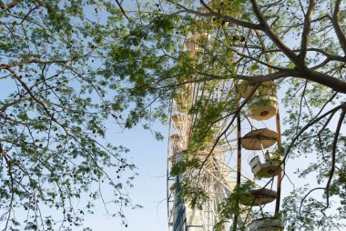 Rueda de Chicago de parque mecanico. Vista parcial detrs de rbol.