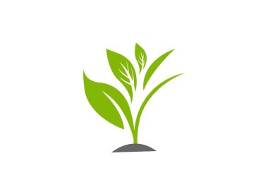 Bitki vektör illüstrasyon şablonu