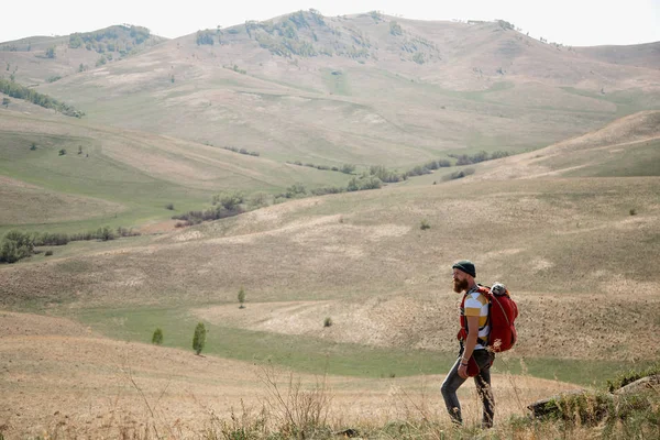 Человек с бородой усы с рюкзаком идет горы летом смотрит вокруг . — стоковое фото
