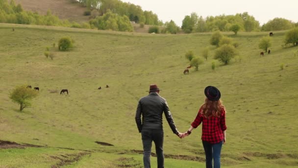 Hombre mujer están tomados de la mano, caminando alrededor del caballo — Vídeos de Stock