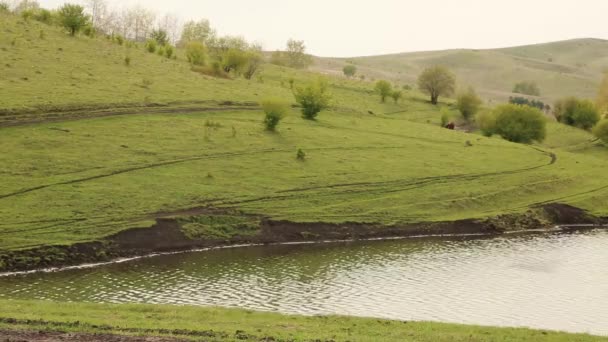 Lac près des collines verdoyantes. promenades de chevaux — Video