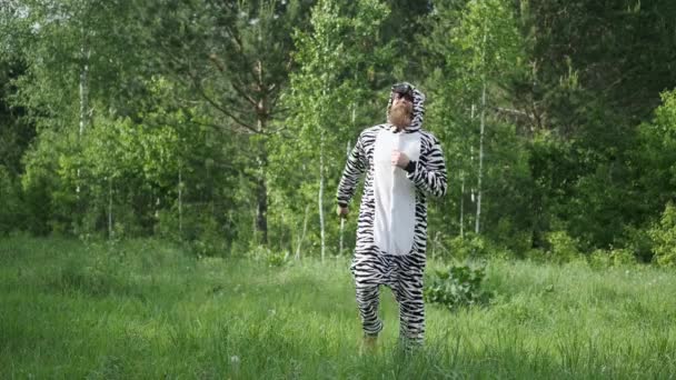 Mężczyzna w kostiumie Zebry, z pomalowaną twarzą, jasnymi emocjami, skaczący po lesie, — Wideo stockowe