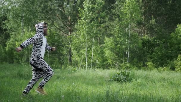 Verrückte Menschen, Mann im Zebra-Kostüm, helle Emotion, lustiger Moment, — Stockvideo