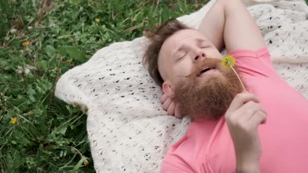 Elinde karahindiba olan bir adam otların üzerinde uzanmış çiçeklere alerjiden hapşırıyor. — Stok video