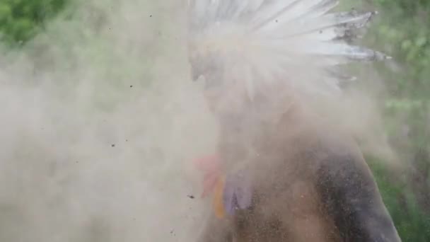 Man in native American Indian headdress performs in smoke and dust,primeval times — Stock Video