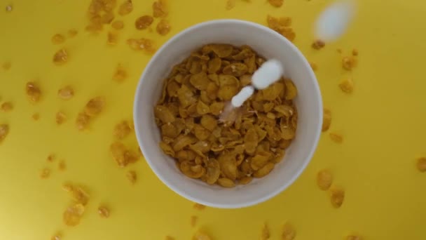 Närbild skott, Frukost Spannmål i en vit skål, Mjölk häller i en skål med cornflakes, — Stockvideo