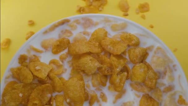 Close-up shot, Pequeno-almoço Cereal em tigela branca, flocos de milho com leite, Café da manhã saudável — Vídeo de Stock