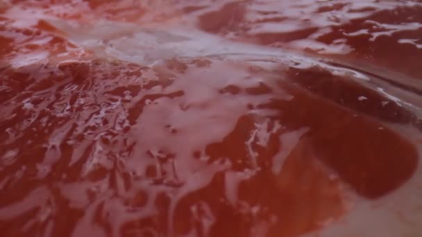 Grapefruit macro schieten, geïsoleerde halve grapefruit op gele achtergrond roteert — Stockvideo