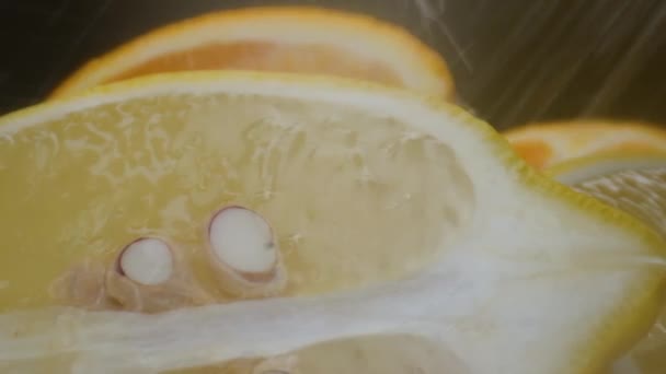 Лимонная и апельсиновая макросъемка, изолированная половина фруктов на желтом фоне вращается — стоковое видео