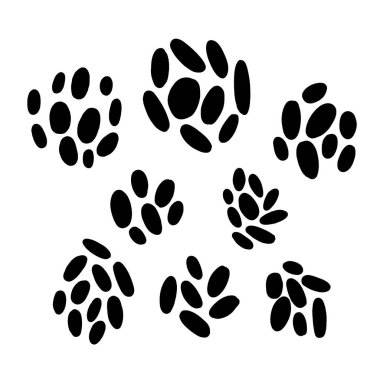 Siyah boya, mürekkep fırçaları. Organik elementler. Vektör şekilleri. Beyaz arka planda izole edilmiş. Serbest çizim. Çiçek goncaları.