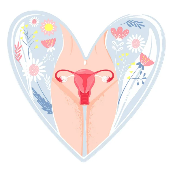 Health concept. Woman reproductive health illustration with woman body, groin of female, uterus and flowers in heart shape. — Stock Vector