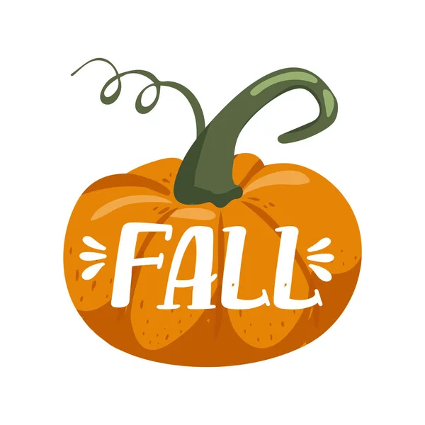 Ilustración de otoño. Calabaza. Elegante diseño de eslogan de tipografía "Fall" signo. Tarjeta de felicitación . — Archivo Imágenes Vectoriales