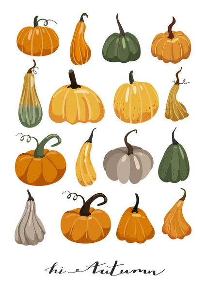 Illustration d'automne. Ensemble de diverses citrouilles. Style typographique slogan design "Salut automne" signe . — Image vectorielle