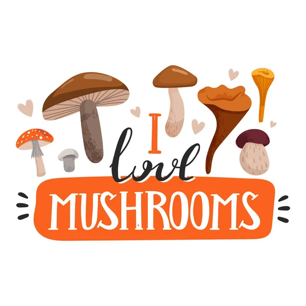 Podzimní nálada. Elegantní typografické heslo, nápis "Miluji houby". Různé druhy hub a srdcí. — Stockový vektor