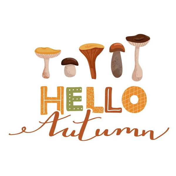 Humor de outono. Elegante tipografia slogan design "Olá outono" sinal. Vários tipos de cogumelos . —  Vetores de Stock