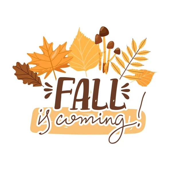 Ilustração do outono. Elegante tipografia slogan design "Queda está chegando" sinal. Vários tipos de folhas e mel cogumelo . — Vetor de Stock