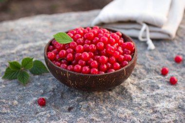 Prunus tomentosa veya yaz aylarında açık havada bir taş üzerinde bir cocnut kase kiraz hasadı nanking. Kırsal tatil konsepti