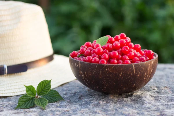 Prunus Tomentosa Nanking Cherry Harvest Cocnut Bowl Stone Outdoors Summer — Stock Photo, Image