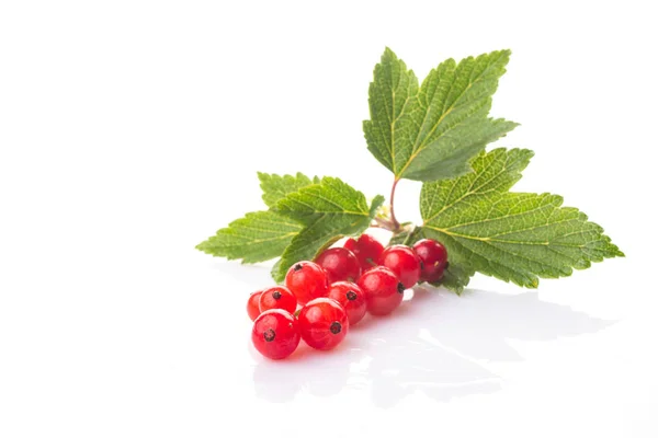 Fresh Berries Red Currant Green Leaves Isolated White Background — Stock Photo, Image