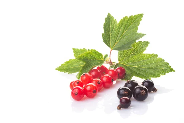 Fresh Berries Red Black Currants Leaves Isolated White Background — Stock Photo, Image