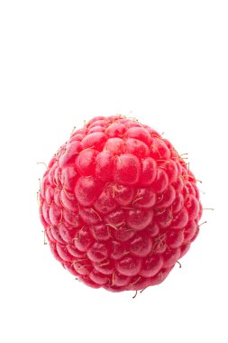 Beyaz arka planda izole edilmiş ahududu makro çekim kapatın