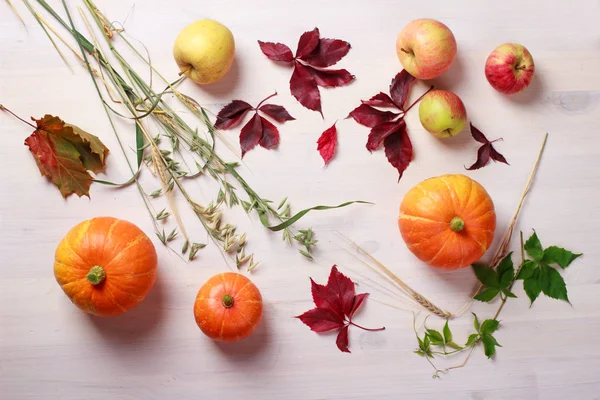 Thanksgiving food background with pumpkins, apples, wheat, oats and autumn leaves on white wooden table with space for text