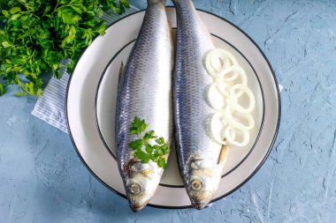 Soğan ile bir tabakta tuzlu ringa balığı. Beton arka plan.