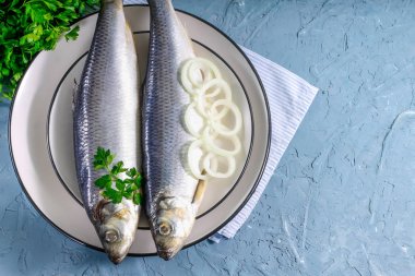 Soğan ile bir tabakta tuzlu ringa balığı. Beton arka plan.