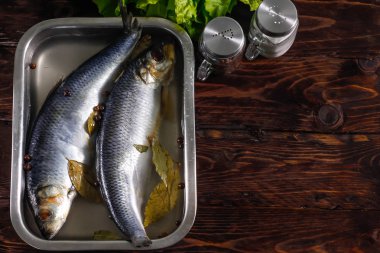 Tuzlu ringa balığı bir kasede salamura. Akşam yemeği için tuzlu aperatif. Salamura deniz balığı.