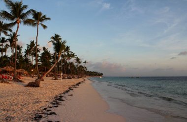 Dominik Cumhuriyeti'nde denizde şafak. Yüksek palmiye ağaçları, kumlu yalnız plaj. Güzel sabah gökyüzü.