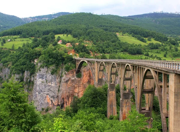 Köprü Djurdjevica Tara köprüsü, Kuzey Karadağ'daki Tara nehri üzerinde beton bir kemer köprüdür. Uzunluğu 365 m, en yüksek yüksekliği 172 m olan yapı, en uzunsu 116 m olan 5 kemerden oluşmaktadır..